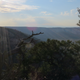 Illustration for article titled Dinosaur National Monument